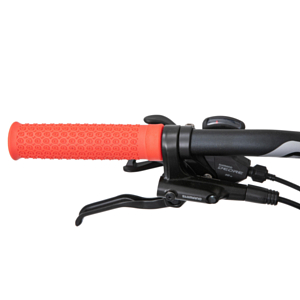 Велосипед BH Spike 2.5 29 Deore 10V Xcm Remote 2023 Sand-Red