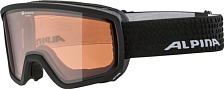 Очки горнолыжные Alpina 2020-21 Scarabeo QH Black Matt