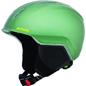 Зимний Шлем Alpina 2020-21 Carat LX Moss/Green