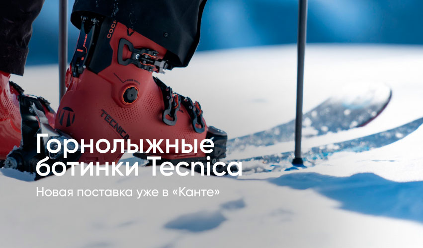 Горнолыжные ботинки Tecnica