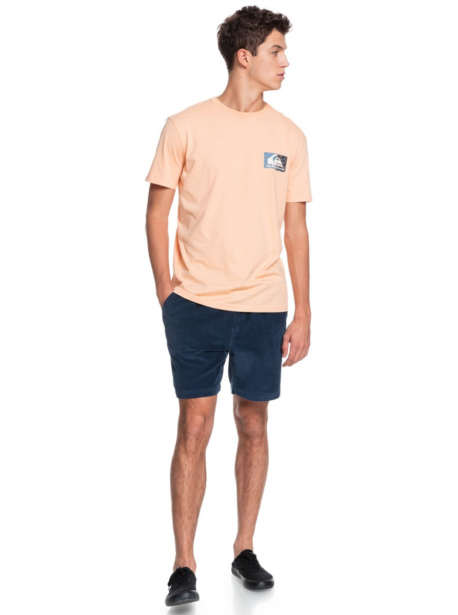 Футболка для активного отдыха Quiksilver Isleofstokess Apricot