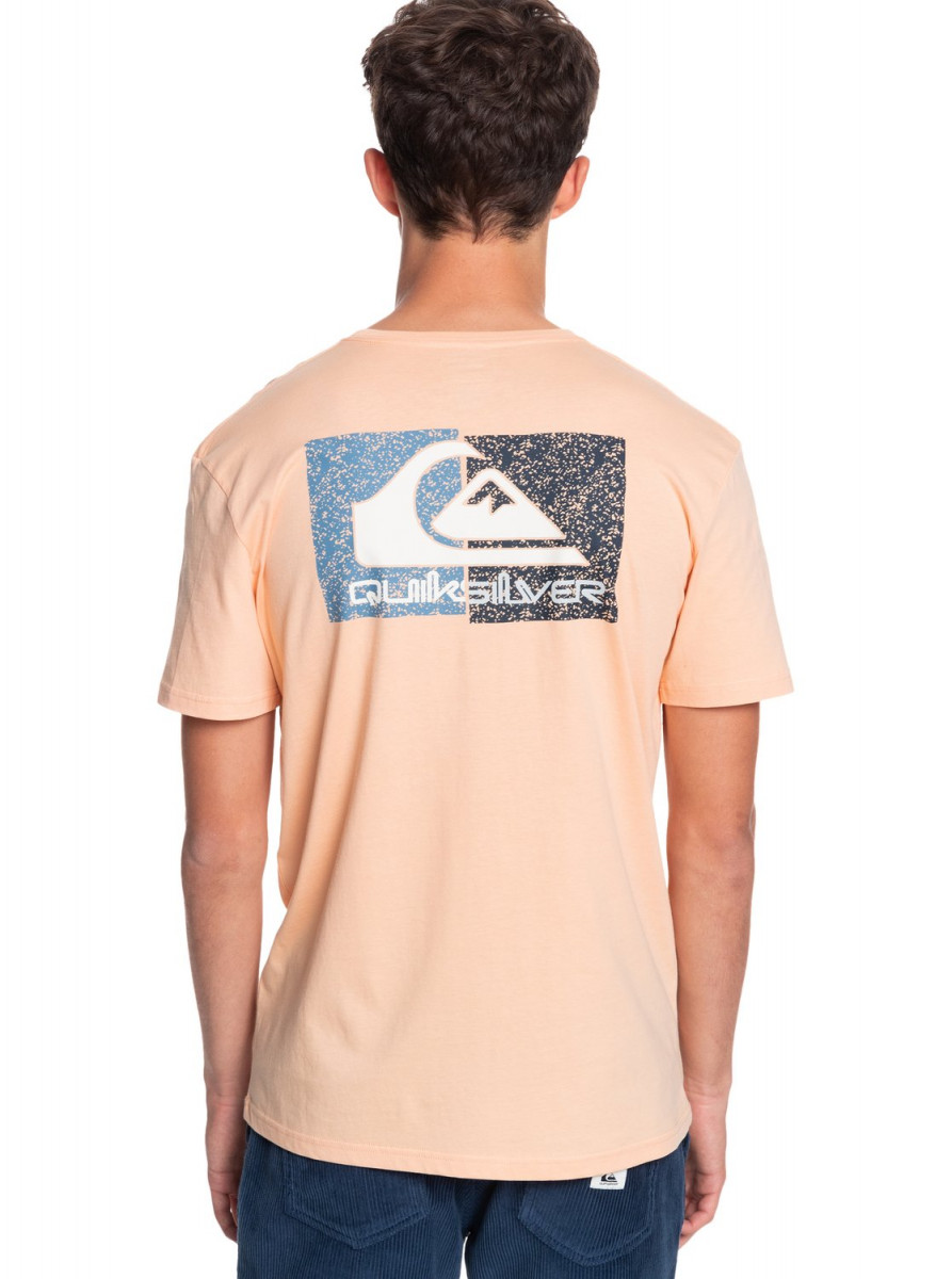 Футболка для активного отдыха Quiksilver Isleofstokess Apricot