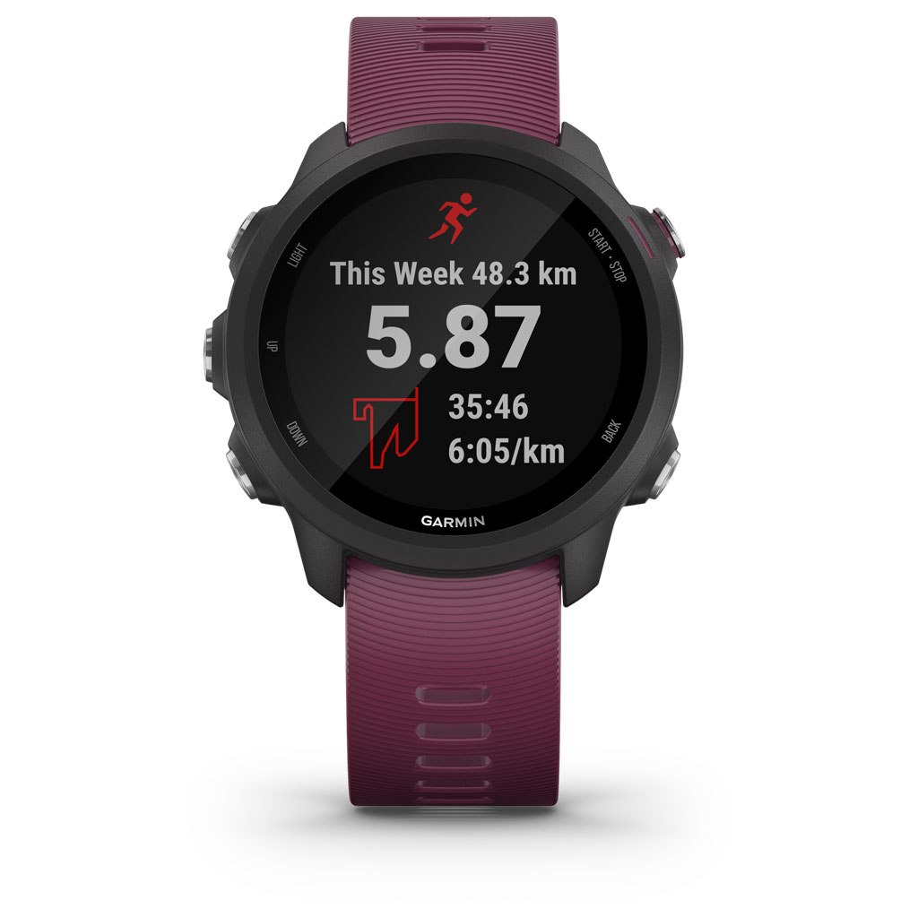 Часы Garmin Forerunner 245 GPS EU Black/Berry