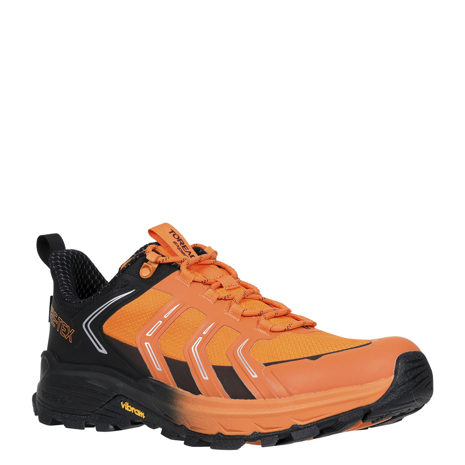 Gore tex shop waterproof hiking shoes