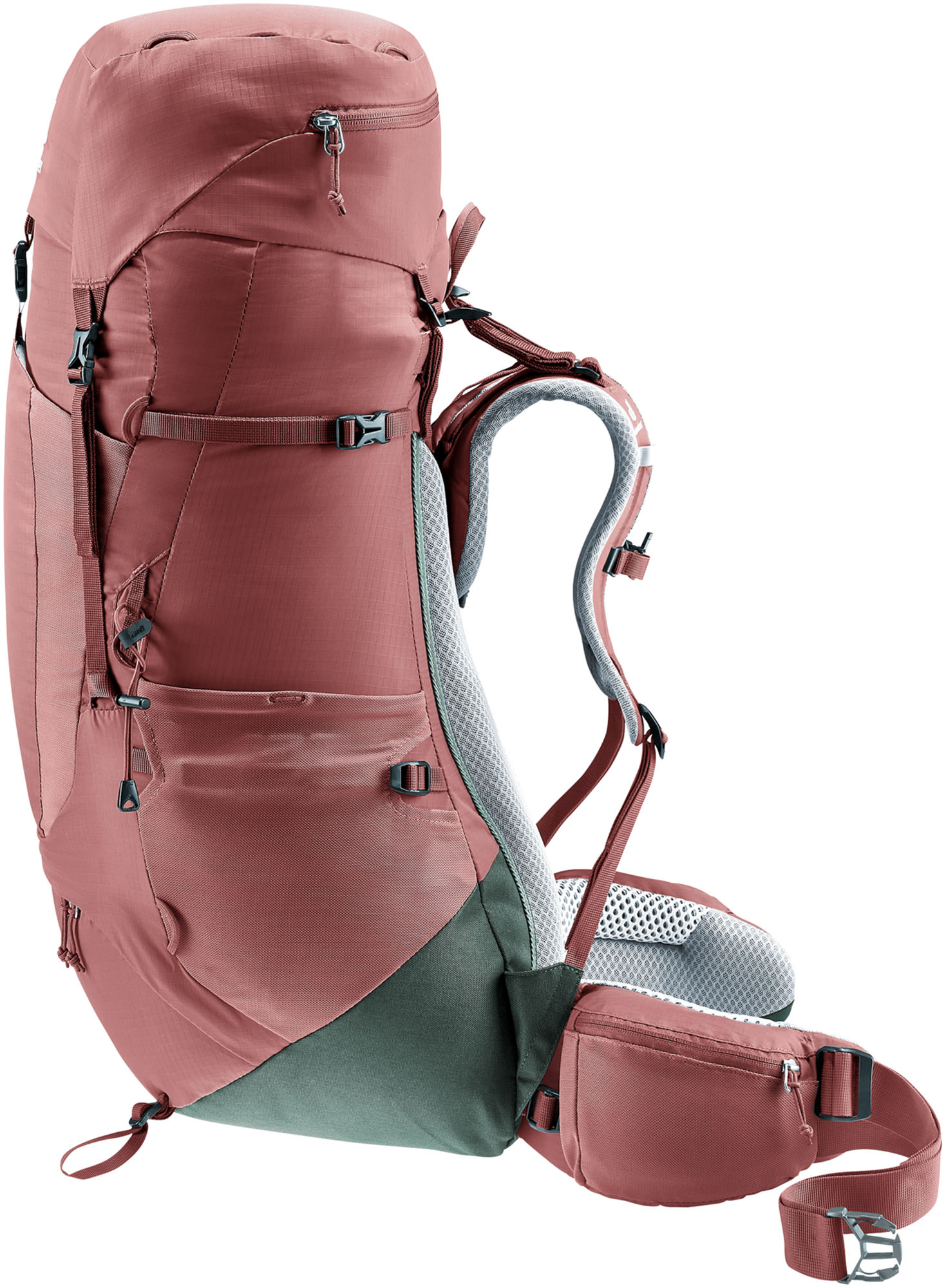 Deuter tour lite hotsell