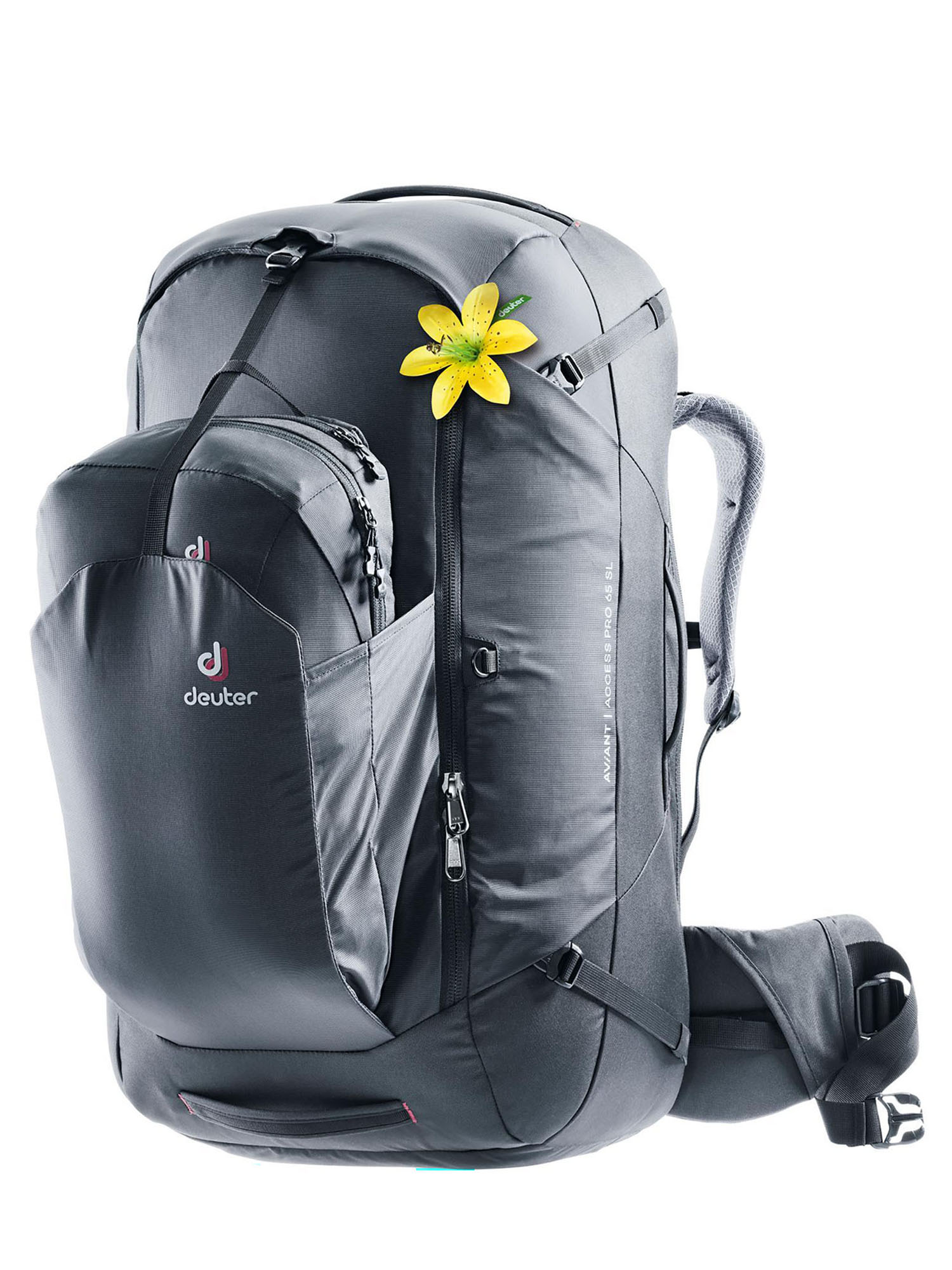 Deuter traveller sl best sale