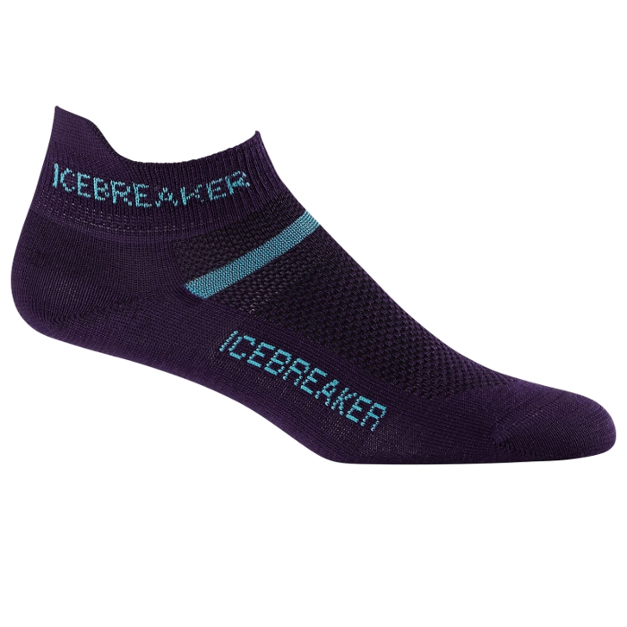 

Носки Icebreaker Womens Multisport Ultra Lite Micro Lotus/glacier