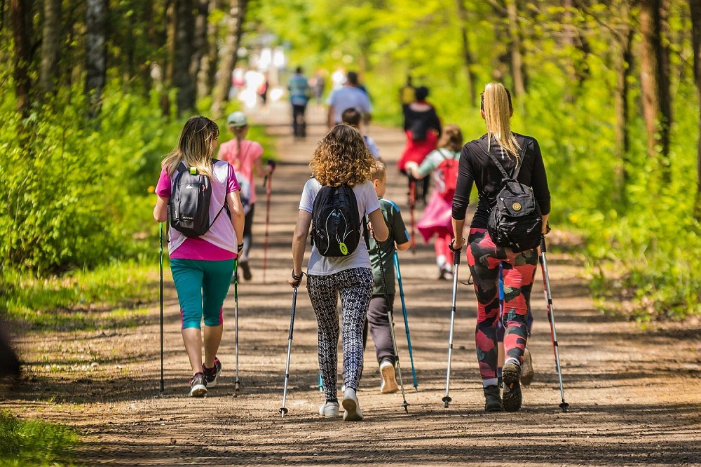 Палки для скандинавской ходьбы Nordic Walking Pole