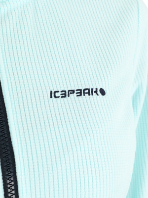 Толстовка Icepeak Berwick Голубой