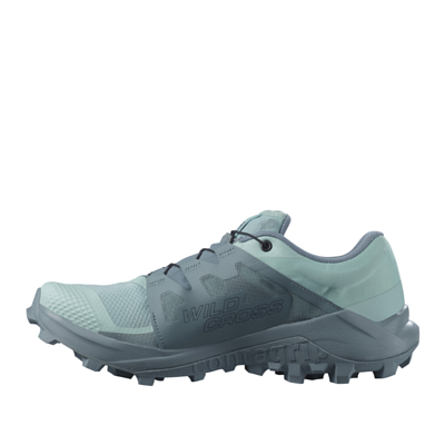 Беговые кроссовки SALOMON Wildcross Gtx W Pastel Turquoi