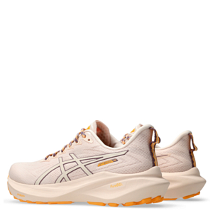 Кроссовки Asics GT-2000 13 TR Nature Bathing/Pearl Pink