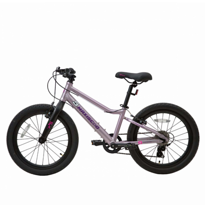 Велосипед MAXISCOO &quot;5BIKE&quot; 20'' L 2024 Розовый Сапфир