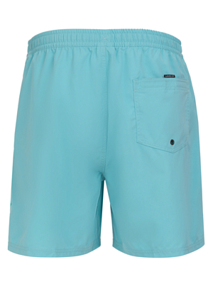 Шорты для плавания Quiksilver Vert Vly 16 Jamv Marine Blue