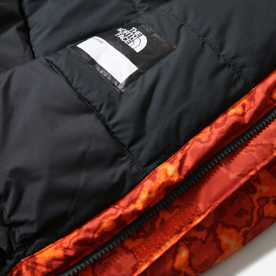 Куртка горнолыжная детская The North Face Free Xtrme Ins Jkt B Rdorgmrblcmprnt