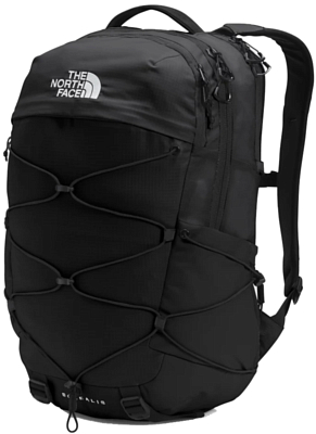 North face deals borealis luxe backpack