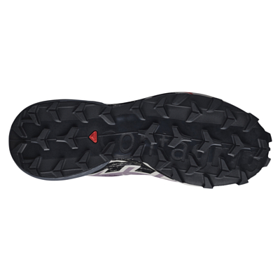 Кроссовки SALOMON Speedcross 6 Moonscape/Black/Ash Rose