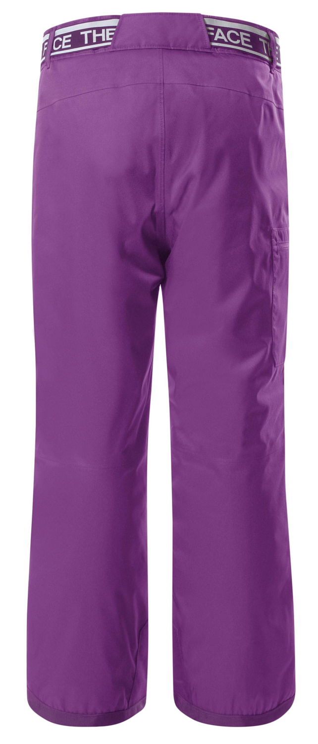 Брюки горнолыжные The North Face Free Ins Pnt G Gravity Purple