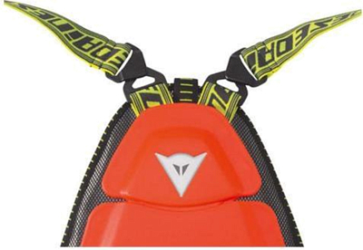 Защита спины Dainese 2018-19 Kid back protector 02 evo red