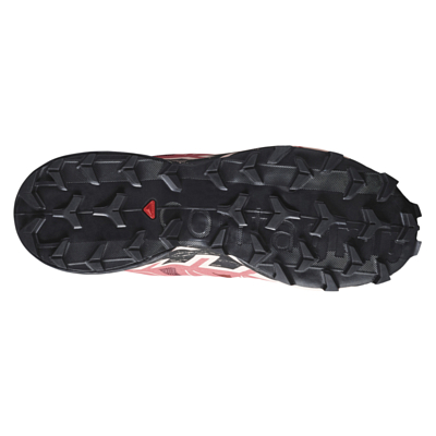 Кроссовки SALOMON Speedcross 6 Cohide/Black/English Rose