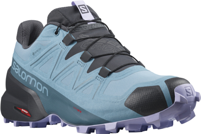 Кроссовки SALOMON Speedcross 5 GTX Delphinium Blue/Mallard Blue/Lavender