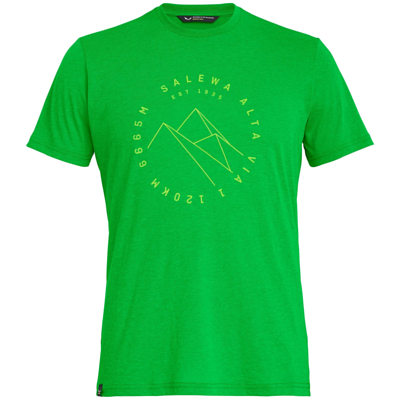 Футболка для активного отдыха Salewa Alta Via Dri-rel M S/s Tee Classic green melang