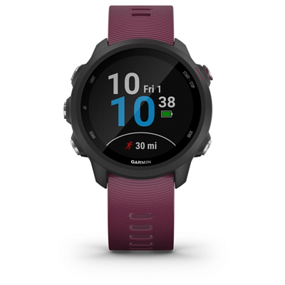 Часы Garmin Forerunner 245 GPS EU Black/Berry