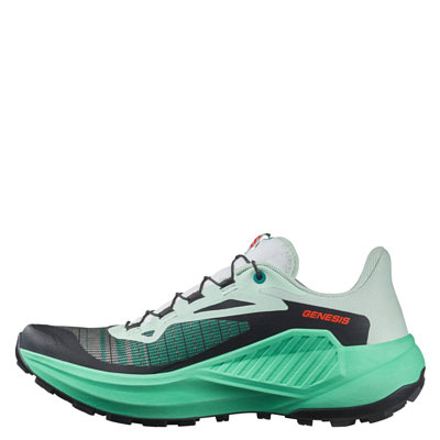 Кроссовки SALOMON Genesis Bay/Electric Green/Chert