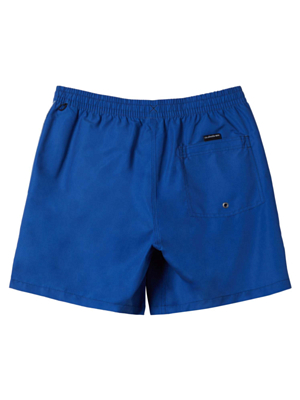 Шорты для плавания Quiksilver Vert Youth 14 Jamv Monaco Blue