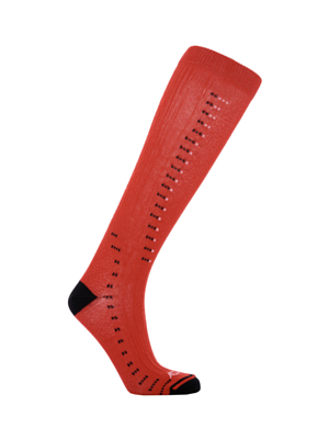 Носки Accapi Ski Ergoracing Red/Black