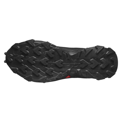 Кроссовки SALOMON Alphacross 5 GTX Black/Ebony