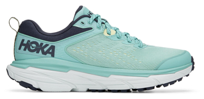 Кроссовки Hoka Challenger Atr 6 Cascade/Ombre Blue