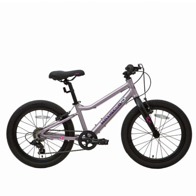 Велосипед MAXISCOO &quot;5BIKE&quot; 20'' L 2024 Розовый Сапфир