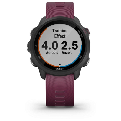 Часы Garmin Forerunner 245 GPS EU Black/Berry