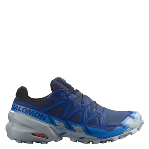 Кроссовки SALOMON Speedcross 6 GTX Blue Print/Ibiza Blue/Quarry