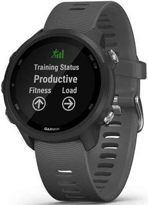 Garmin Forerunner 245 Gps Eu Black Slate 33900