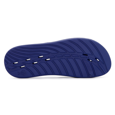 Сланцы Speedo Slide AM Navy/White