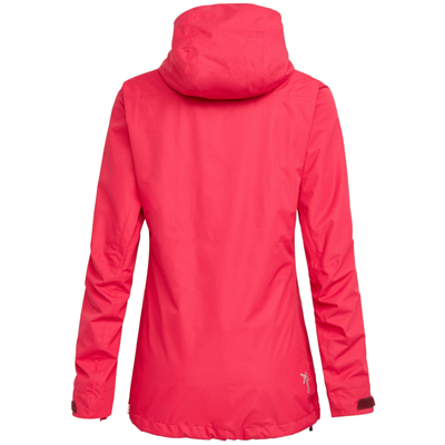 Куртка для активного отдыха Salewa 2019 Puez clastic PTX 2L W JKT Rose red