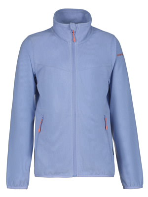 Толстовка детская Icepeak Kimball Junior Light Blue