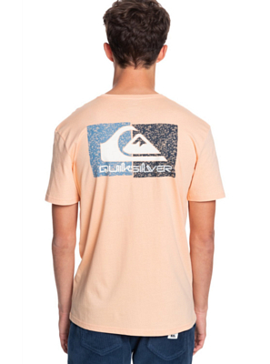 Футболка для активного отдыха Quiksilver Isleofstokess Apricot