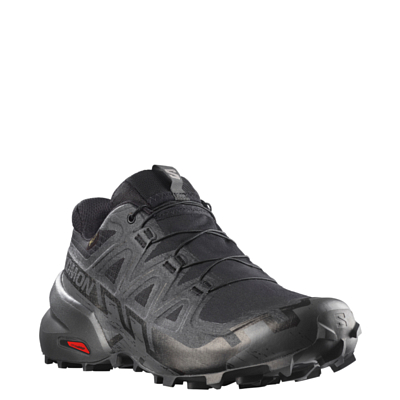 Кроссовки SALOMON Speedcross 6 GTX Black/Phantom