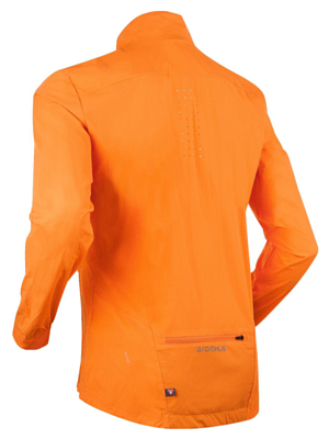 Куртка Bjorn Daehlie Winter Run for men Orange Popsicle