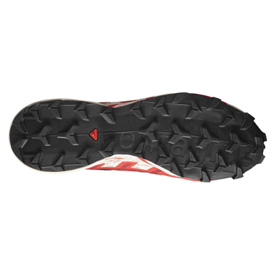 Кроссовки SALOMON Speedcross 6 GTX Black/Red Dalhia/Poppy Red