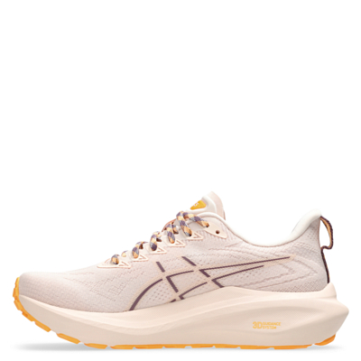 Кроссовки Asics GT-2000 13 TR Nature Bathing/Pearl Pink