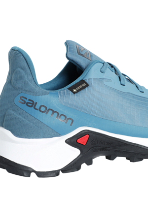 Кроссовки SALOMON Alphacross 3 GTX Bluest/White