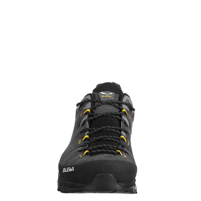 Ботинки Salewa Alp Trainer 2 Gtx M Onyx/Black