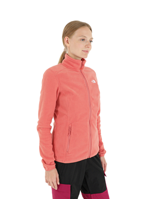 Флисовая куртка The North Face 100 Glacier Fz W Faded Rose