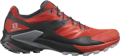 Беговые кроссовки SALOMON Wings Sky Rooibos Tea/Phantm/M