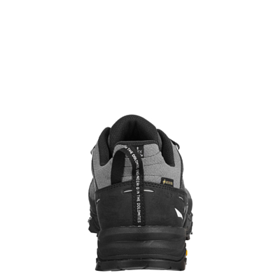 Ботинки Salewa Alp Trainer 2 Gtx M Onyx/Black