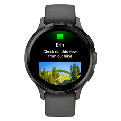 Часы Garmin Venu 3S 41мм Серый