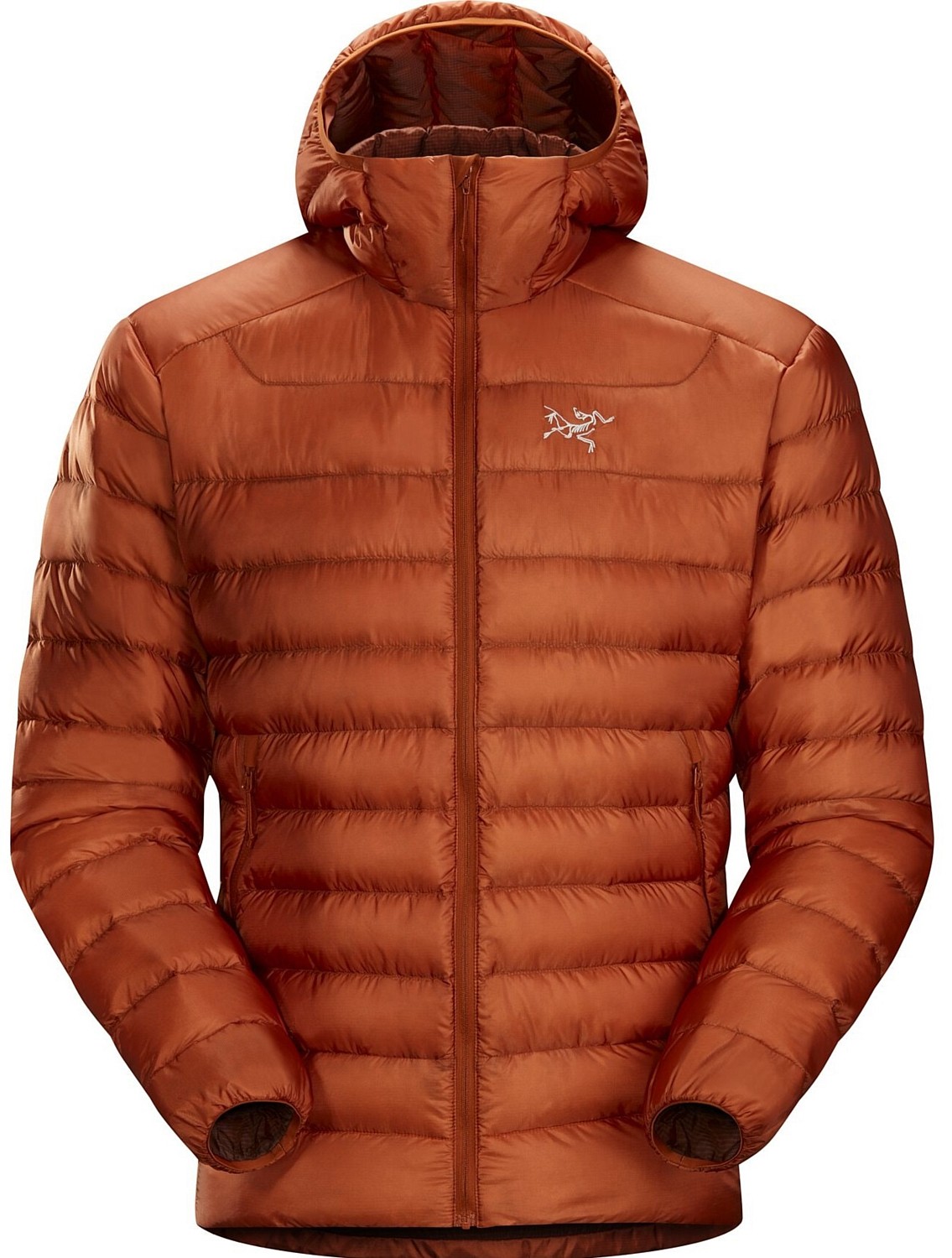 Куртка для активного отдыха Arcteryx Cerium LT Komorebi